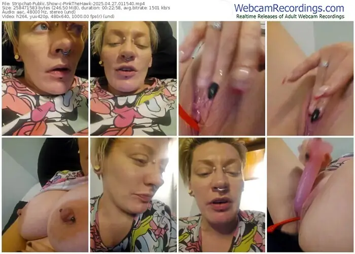 2025/04/27/stripchat-pinkthehawk-01-15-40