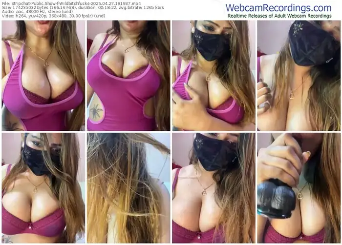 2025/04/27/stripchat-wildbitchfucks-19-19-37