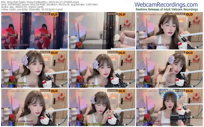 2025/04/27/stripchat-babykitty--07-59-05