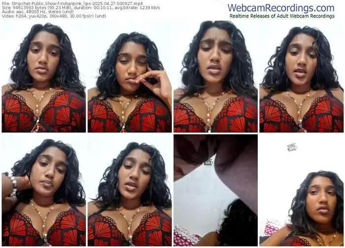 2025/04/27/stripchat-indianpink_lips-00-09-27