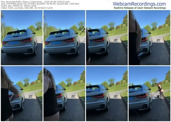 2025/04/28/stripchat-clarasense__-10-09-13