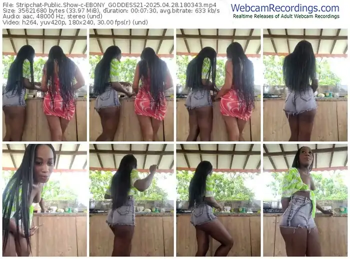 2025/04/28/stripchat-ebony_goddess21-18-03-43
