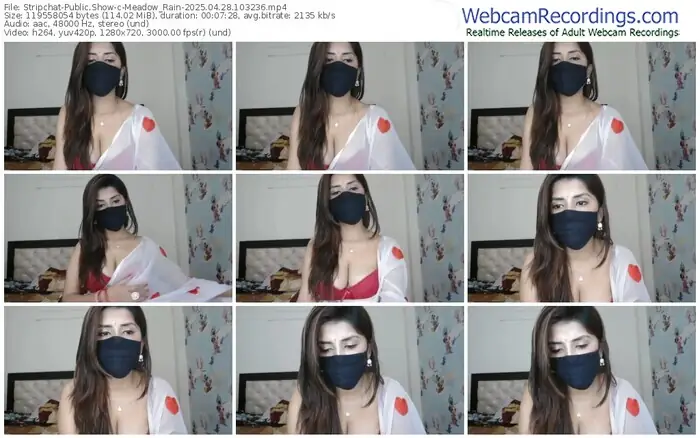 2025/04/28/stripchat-meadow_rain-10-32-36