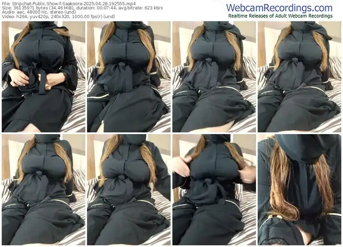 2025/04/28/stripchat-saakoora-19-25-55
