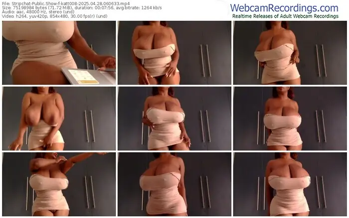 2025/04/28/stripchat-katt008-06-06-33