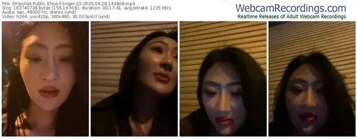 2025/04/28/stripchat-linger-23-14-48-08