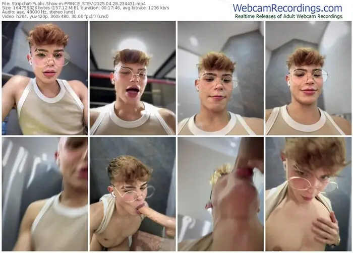 2025/04/28/stripchat-prince_stev-23-44-31