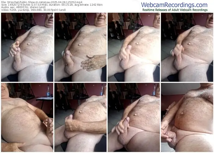2025/04/28/stripchat-ratomau-12-53-52