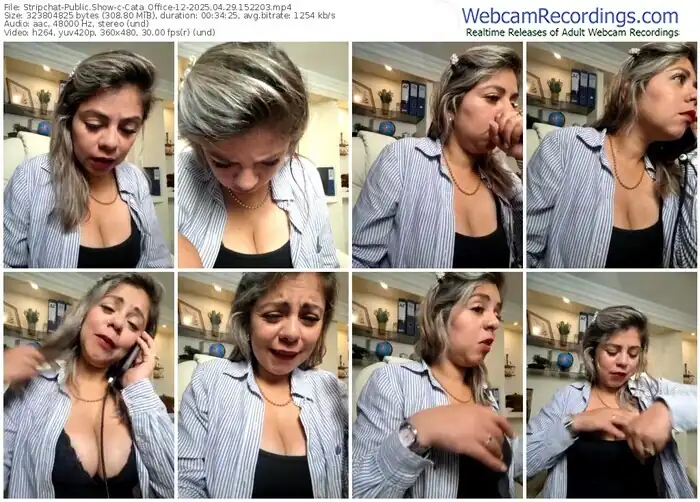 2025/04/29/stripchat-cata_office-12-15-22-03