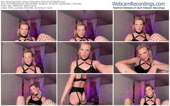 2025/04/29/stripchat-foxy_bite-08-23-53