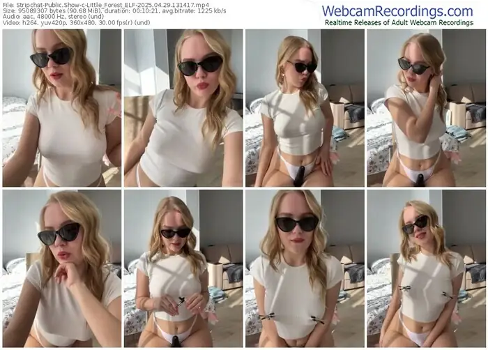 2025/04/29/stripchat-little_forest_elf-13-14-17