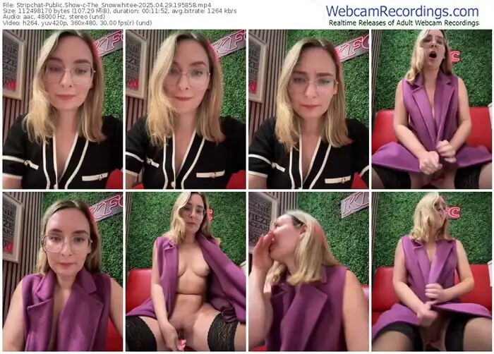 2025/04/29/stripchat-the_snowwhitee-19-58-58