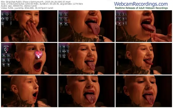 2025/04/29/stripchat-bennymurrh_-09-41-37