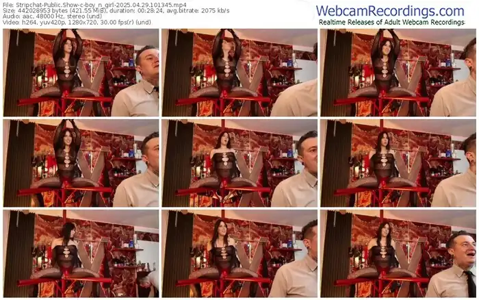 2025/04/29/stripchat-boy_n_girl-10-13-45