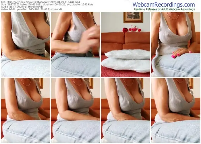 2025/04/29/stripchat-catababa67-11-34-28