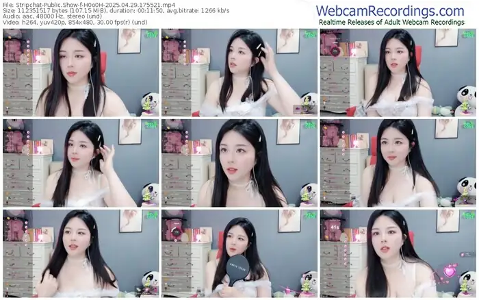 2025/04/29/stripchat-h0o0h-17-55-21