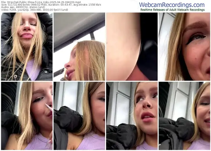 2025/04/29/stripchat-liza_risky-09-42-03