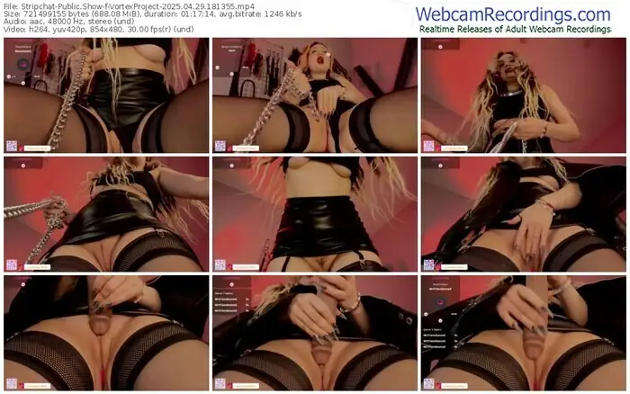 2025/04/29/stripchat-vortexproject-18-13-55