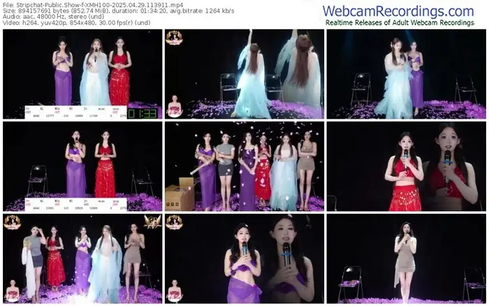 2025/04/29/stripchat-xmh100-11-39-11