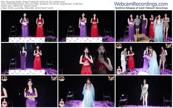 2025/04/29/stripchat-xmh100-11-46-43