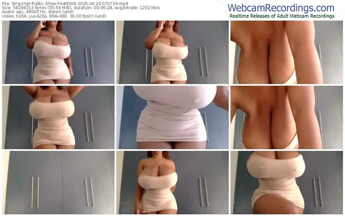 2025/04/29/stripchat-katt008-07-07-39