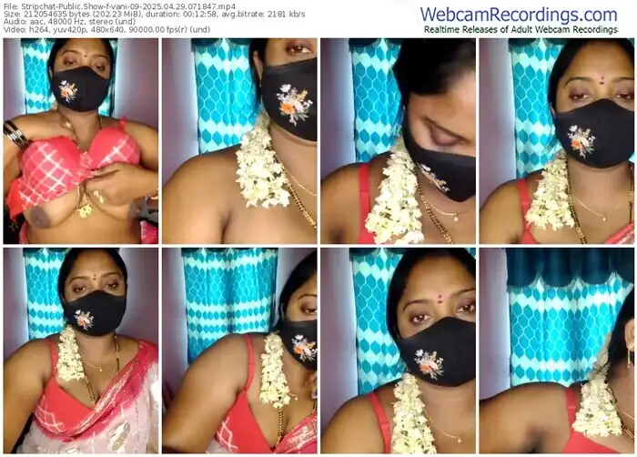 2025/04/29/stripchat-vani-09-07-18-47