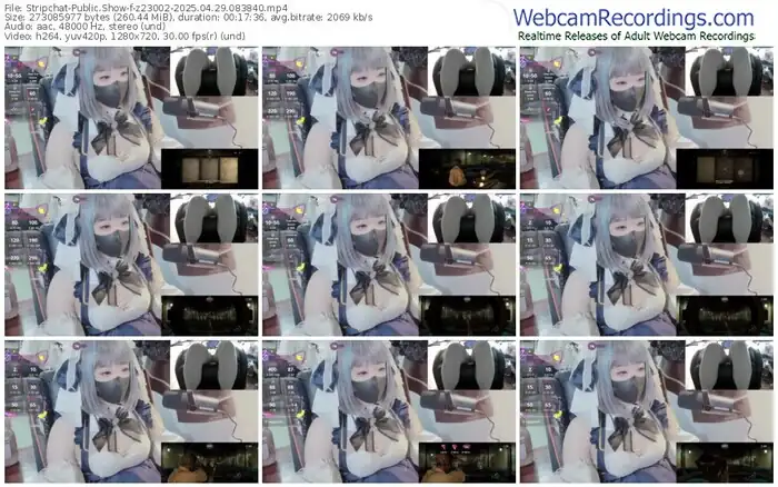 2025/04/29/stripchat-z23002-08-38-40