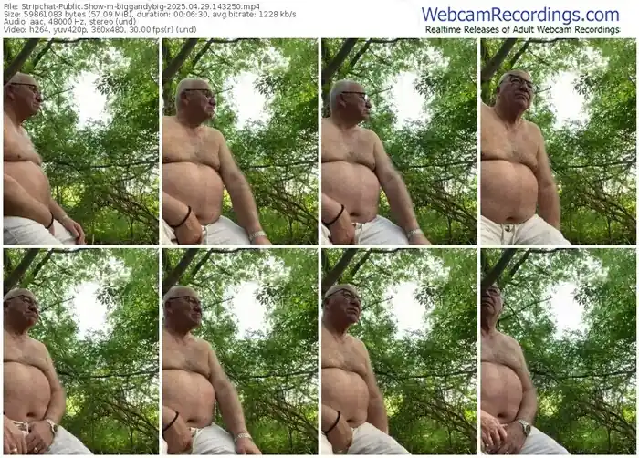 2025/04/29/stripchat-biggandybig-14-32-50