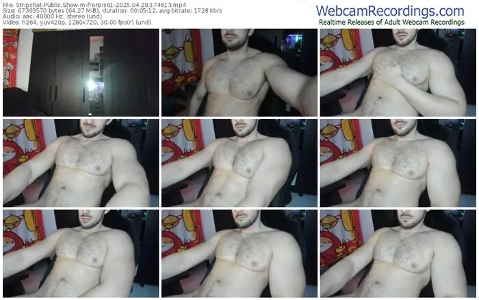 2025/04/29/stripchat-frenzis61-17-46-13