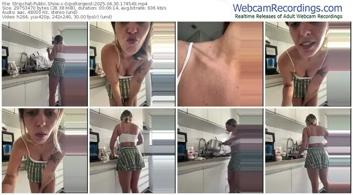 2025/04/30/stripchat-gipoltergeist-17-45-49