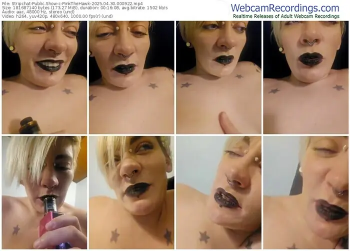 2025/04/30/stripchat-pinkthehawk-00-09-22