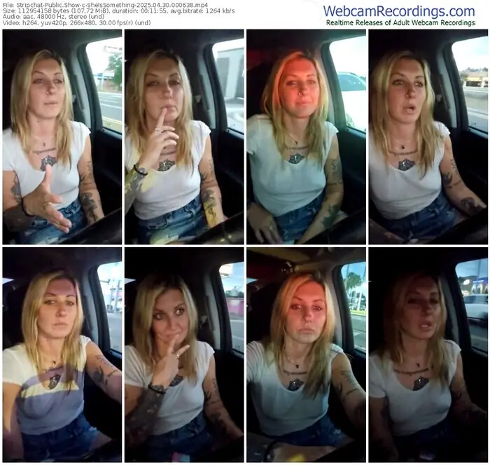 2025/04/30/stripchat-sheissomething-00-06-38