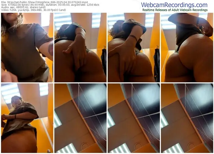 2025/04/30/stripchat-morphine_666-07-02-42