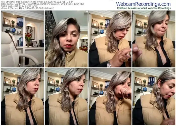 2025/05/01/stripchat-cata_office-12-17-11-49