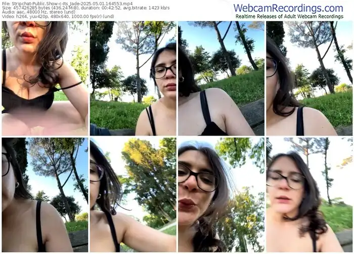 2025/05/01/stripchat-its_jade-16-45-53