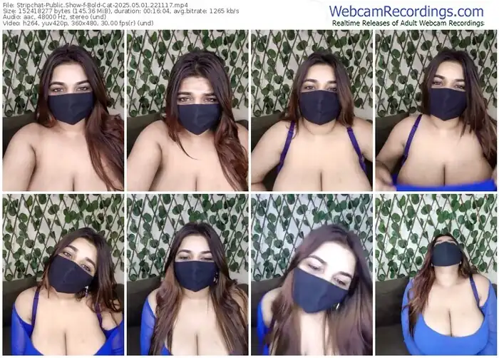 2025/05/01/stripchat-bold-cat-22-11-17