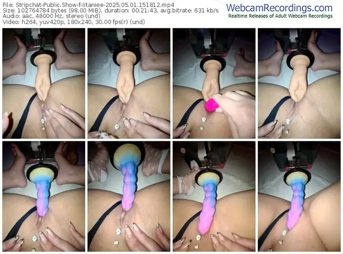 2025/05/01/stripchat-iitaniee-15-18-12