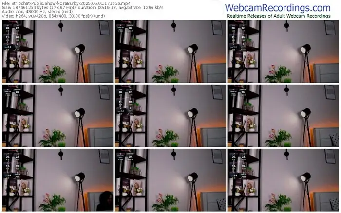 2025/05/01/stripchat-oraburby-17-16-56
