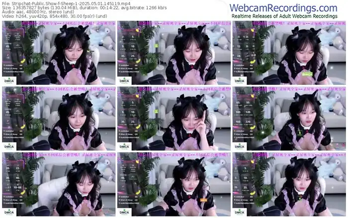 2025/05/01/stripchat-sheep-1-14-51-19