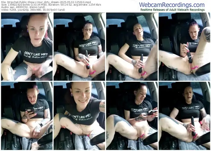 2025/05/02/stripchat-your_dirty_dream-12-50-10