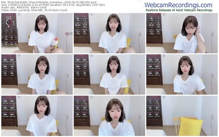 2025/05/02/stripchat-morpho_menelaus_-08-14-01