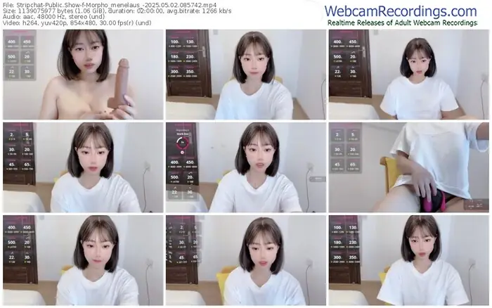 2025/05/02/stripchat-morpho_menelaus_-08-57-42