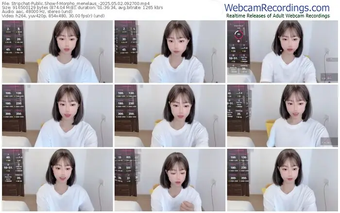 2025/05/02/stripchat-morpho_menelaus_-09-27-00
