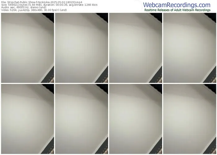 2025/05/02/stripchat-nickilike-18-02-33