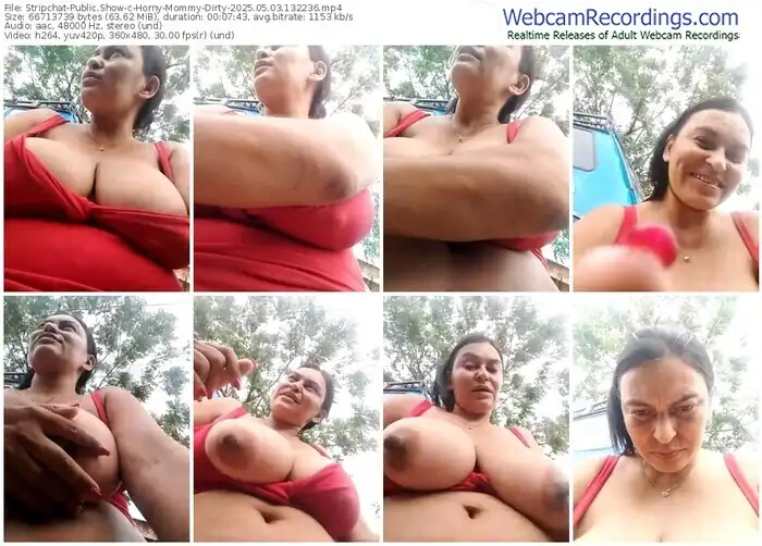 2025/05/03/stripchat-horny-mommy-dirty-13-22-36
