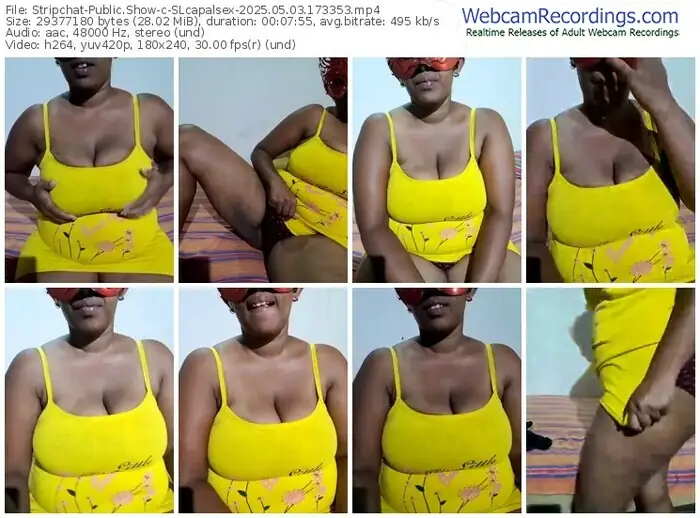 2025/05/03/stripchat-slcapalsex-17-33-53