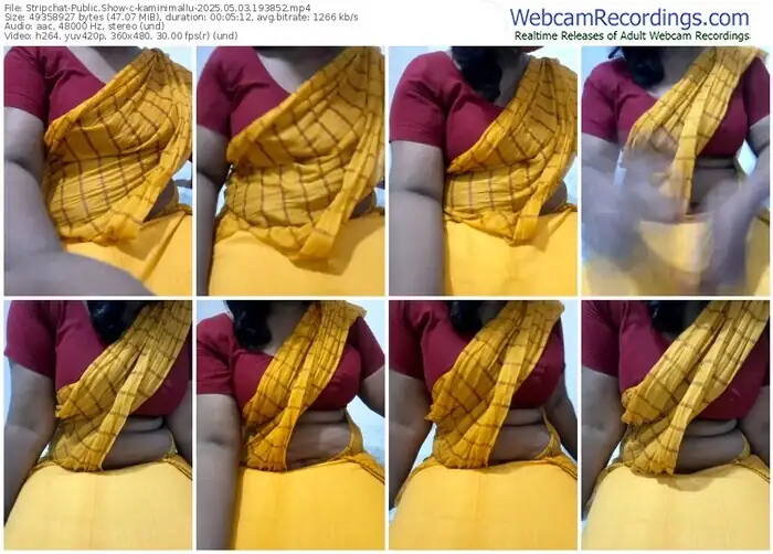 2025/05/03/stripchat-kaminimallu-19-38-52