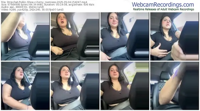 2025/05/04/stripchat-horny_roomiess-15-42-47