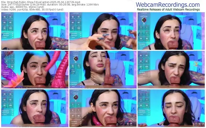 2025/05/04/stripchat-evacanton-12-07-29