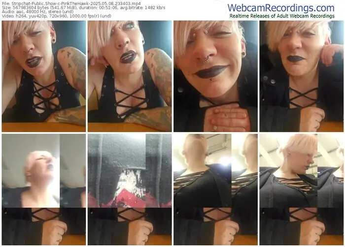 2025/05/08/stripchat-pinkthehawk-23-34-03